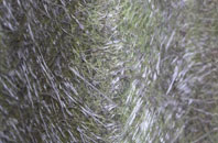 Chilworth fibreglass roof work